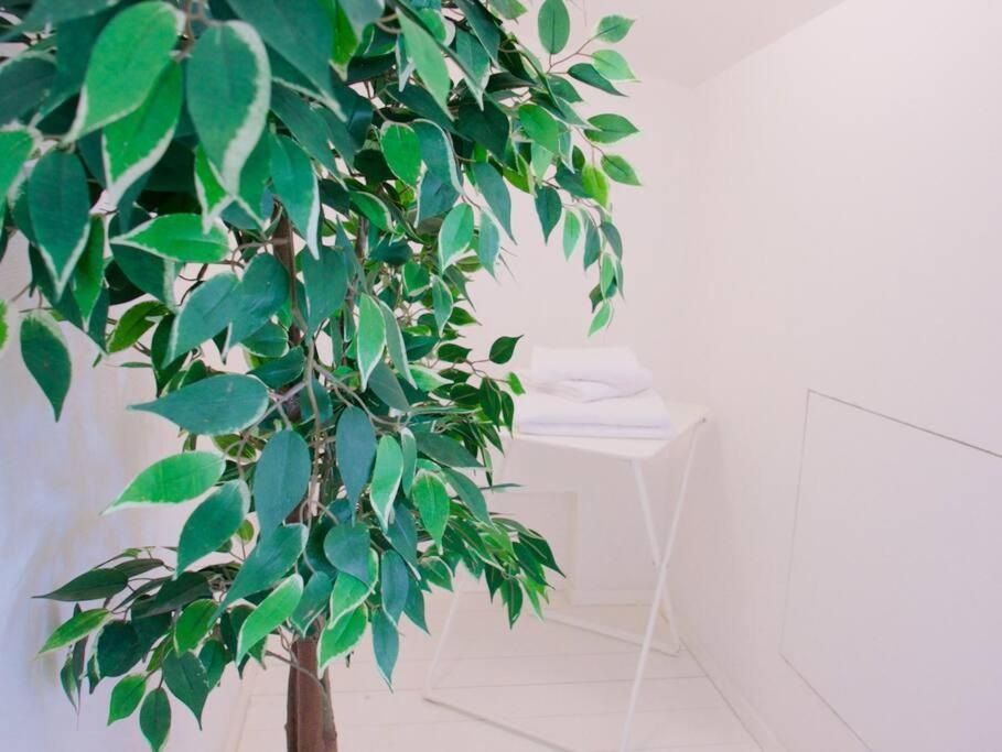 Bright Flat In Oltrarno Apartment Florence