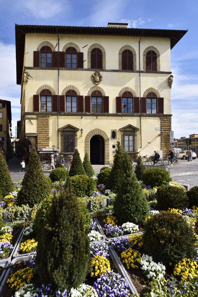 Leone Blu | Esperienze Florence