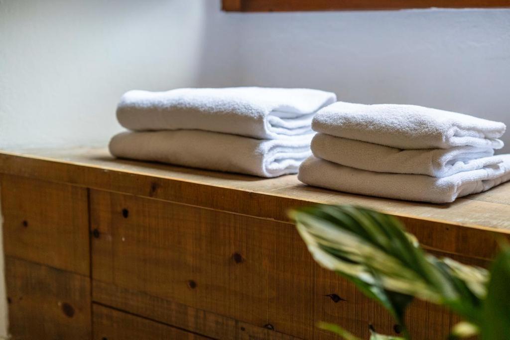 Apartment Puccinotti House Florence