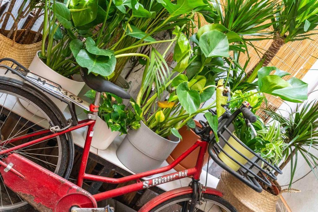 Apartment Puccinotti House Florence