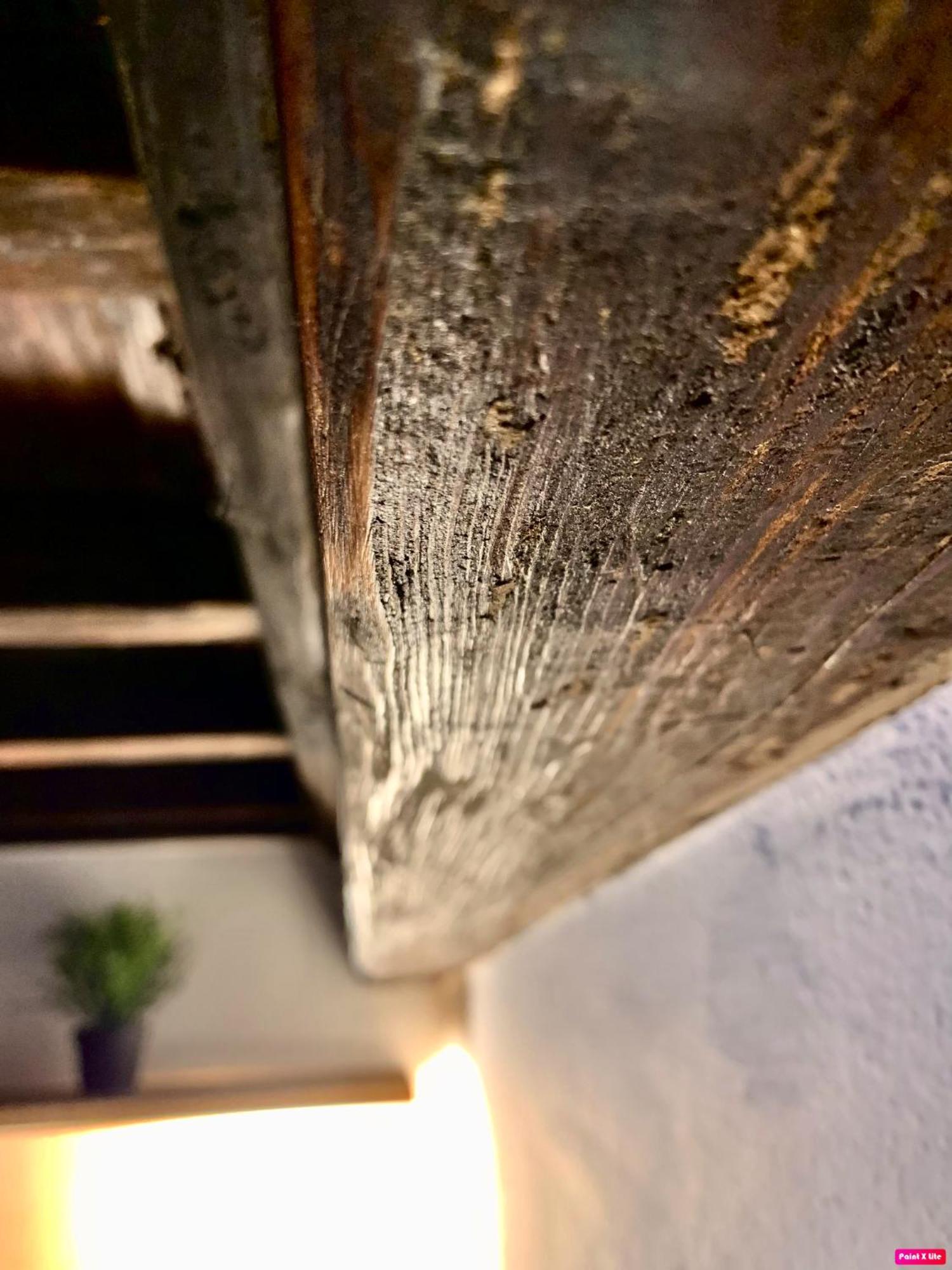 La Bella Vita Appartement