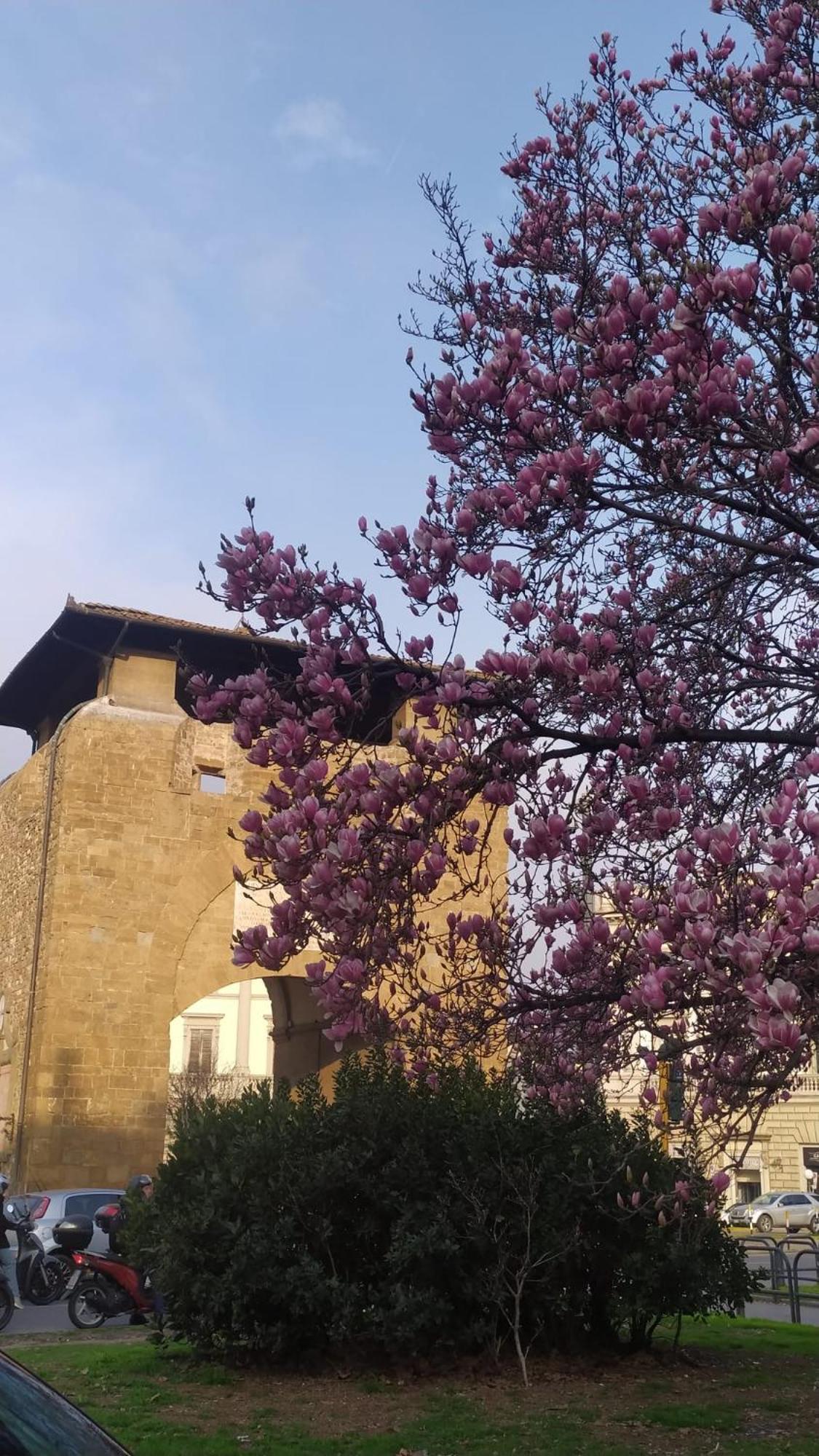 Porta Coi Sassi Apartment