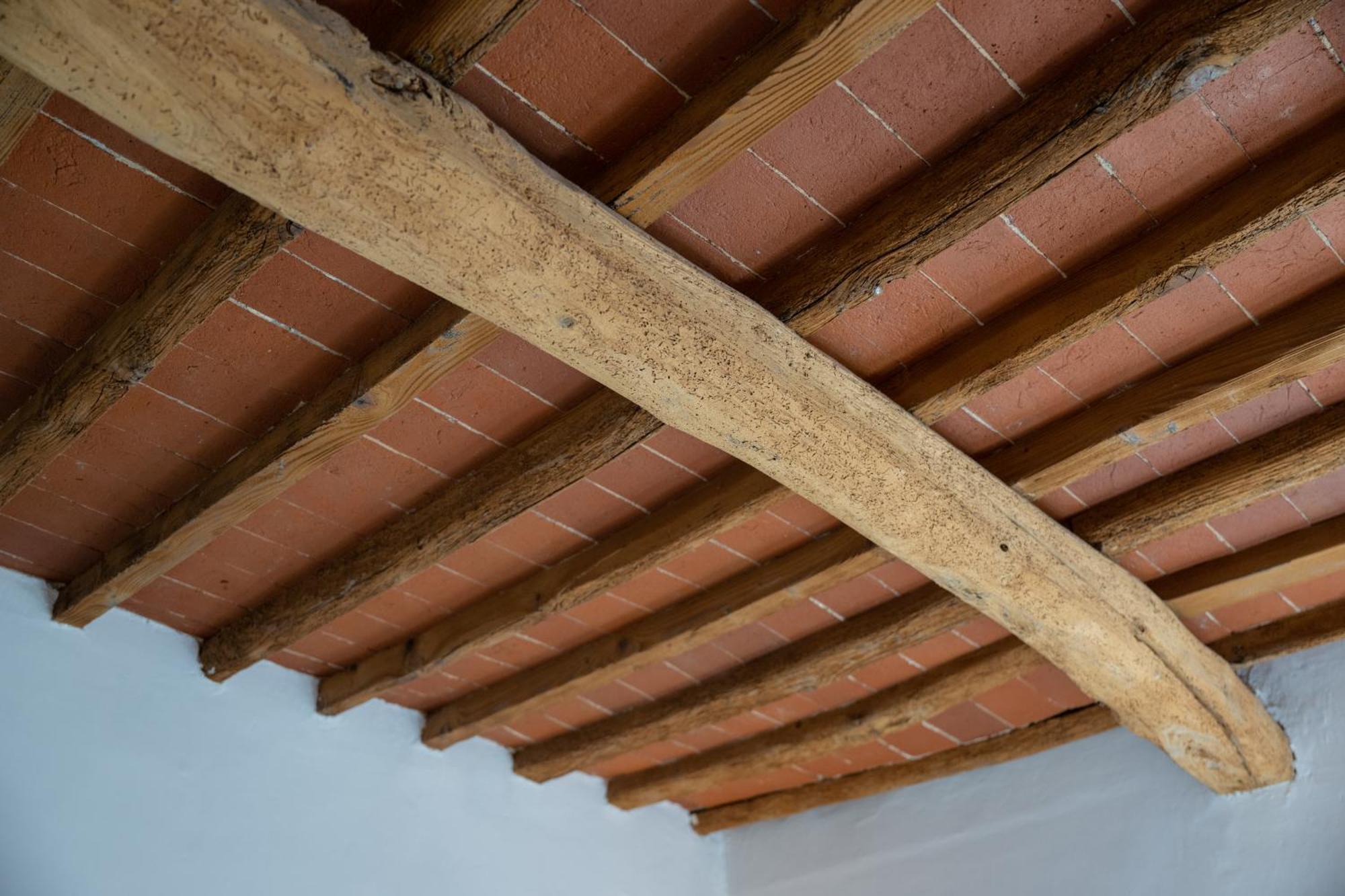 Appartement Tipica Cozy House + Parking! Florence