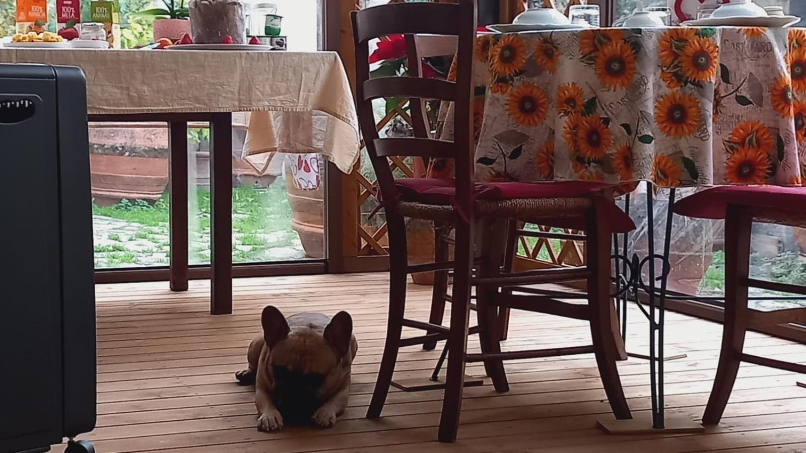 Séjour chez l'habitant Sunshine