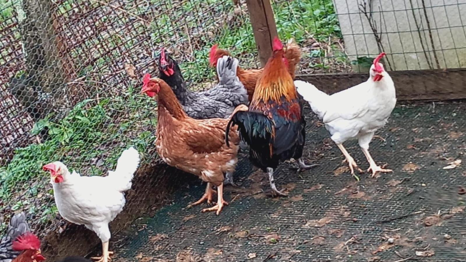 Séjour chez l'habitant Sunshine *