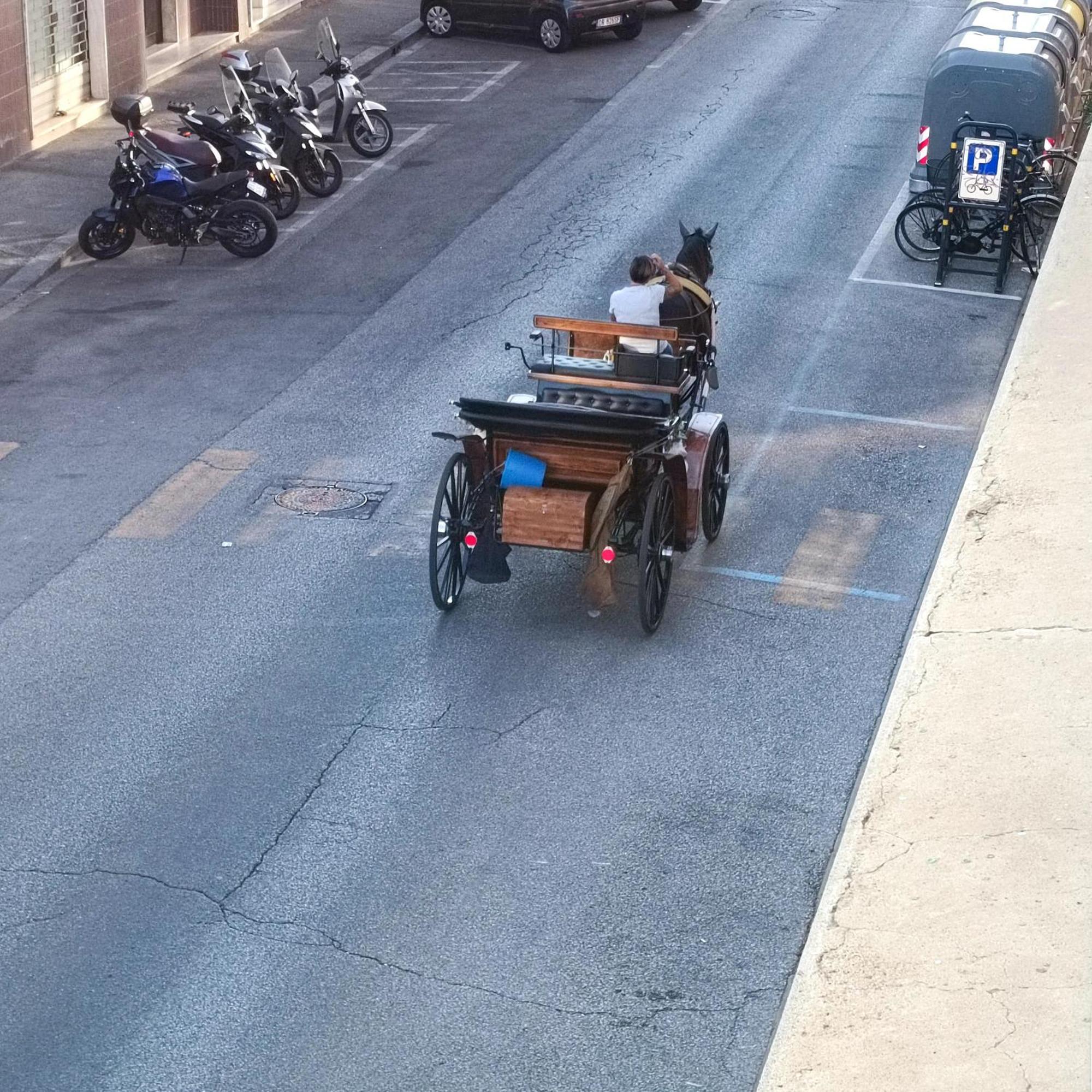 Casaledo