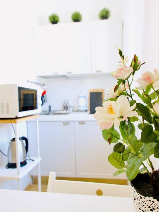 Bright Flat In Oltrarno * Florence