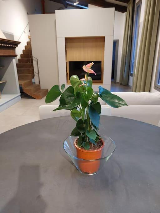 Ponte Vecchio - Luxury - Town Center Apartment