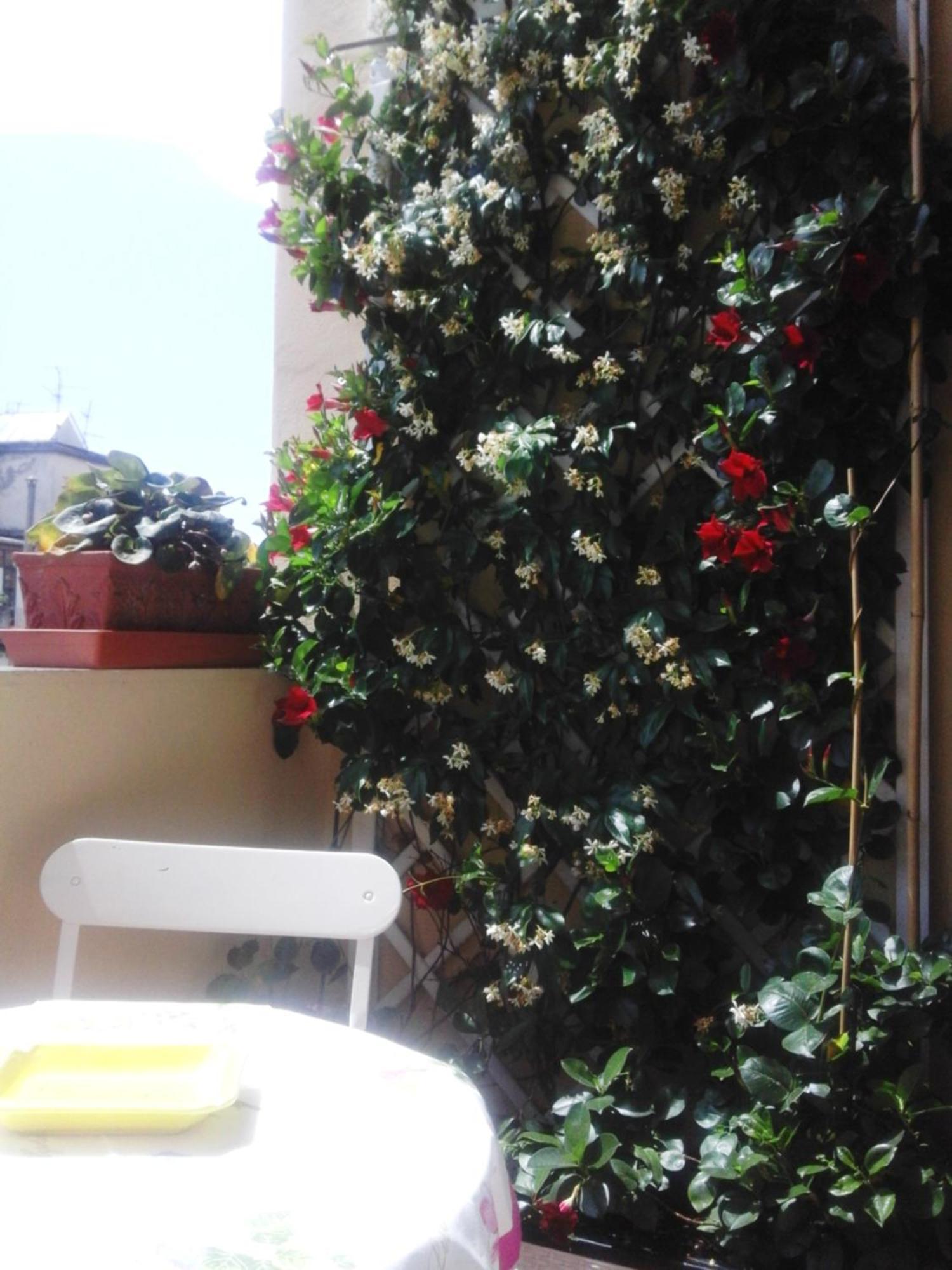 San Marco Center Apartment *