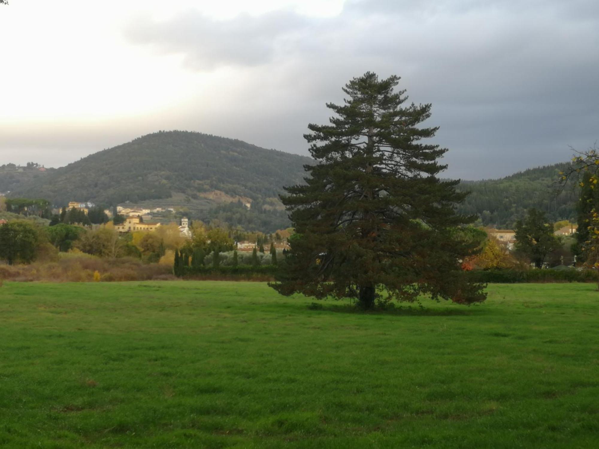 Open Space Nel Parco Con Parcheggio Gratuito Appartement *