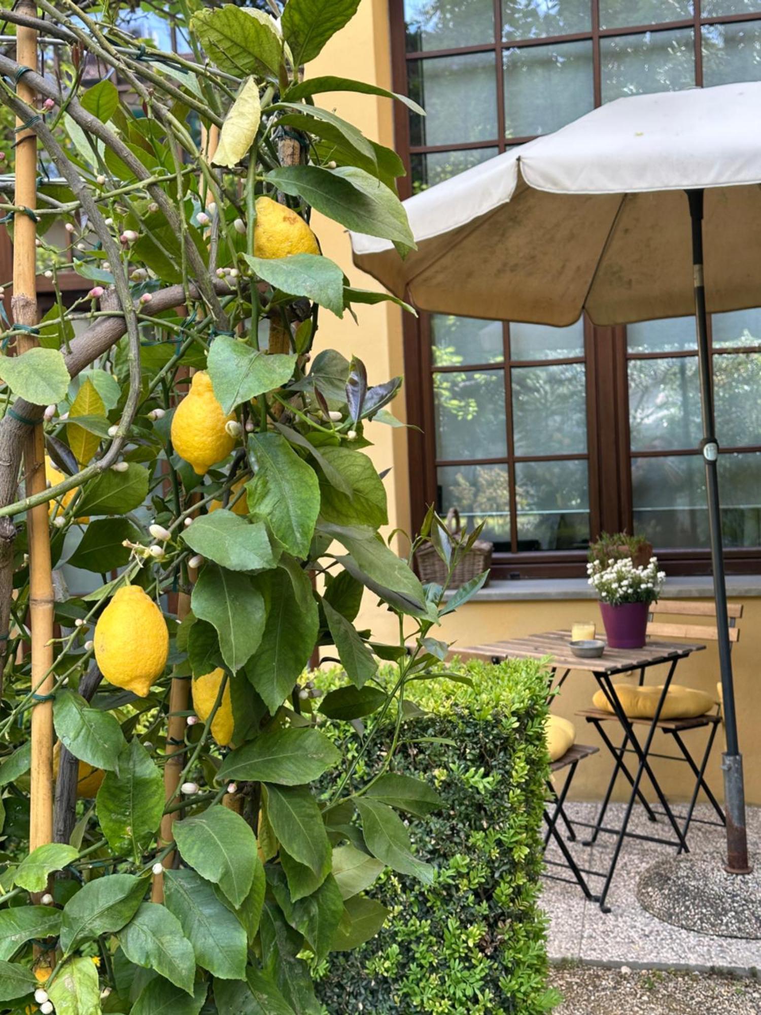 Appartement La Limonaia *