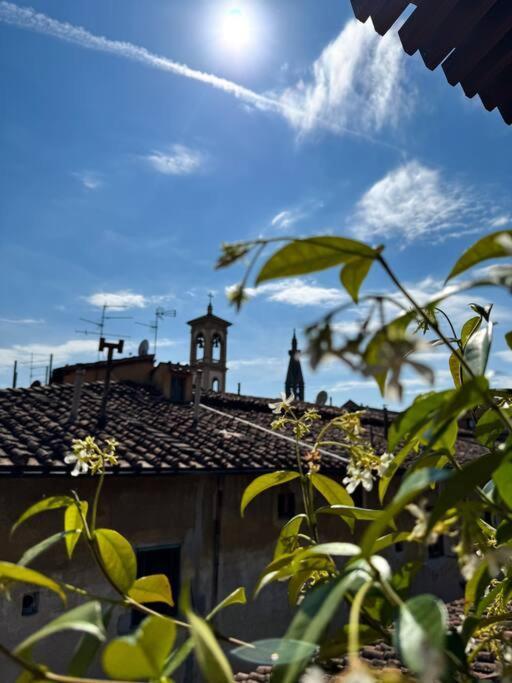 Green Rooftop Terrace Historical Center Appartement