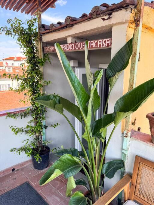 Appartement Green Rooftop Terrace Historical Center Florence