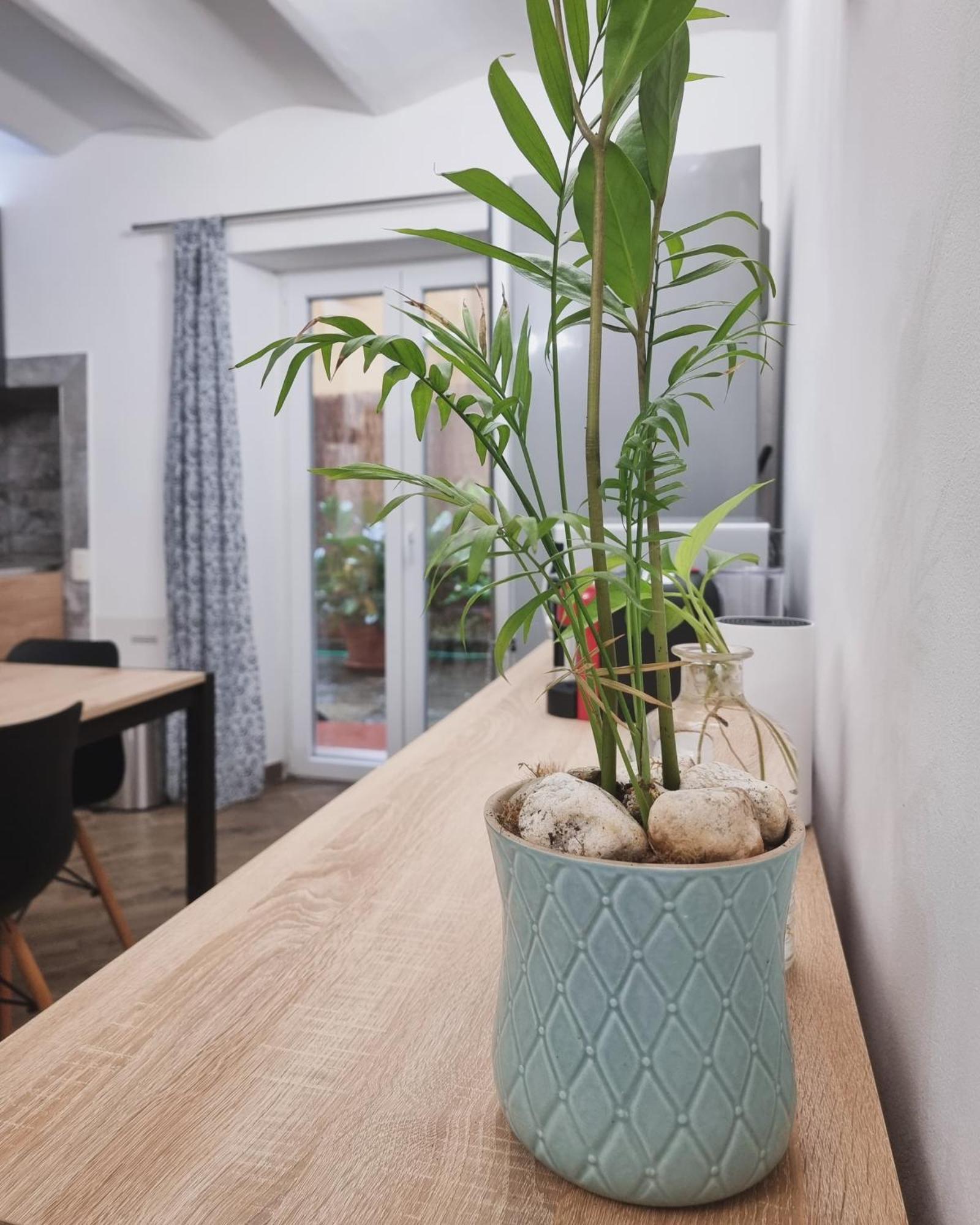 Ibisco Apartment *