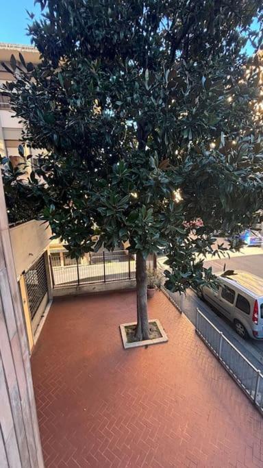 Show Me 2 Bedroom Duomo & Airport Tram Apartment Florence