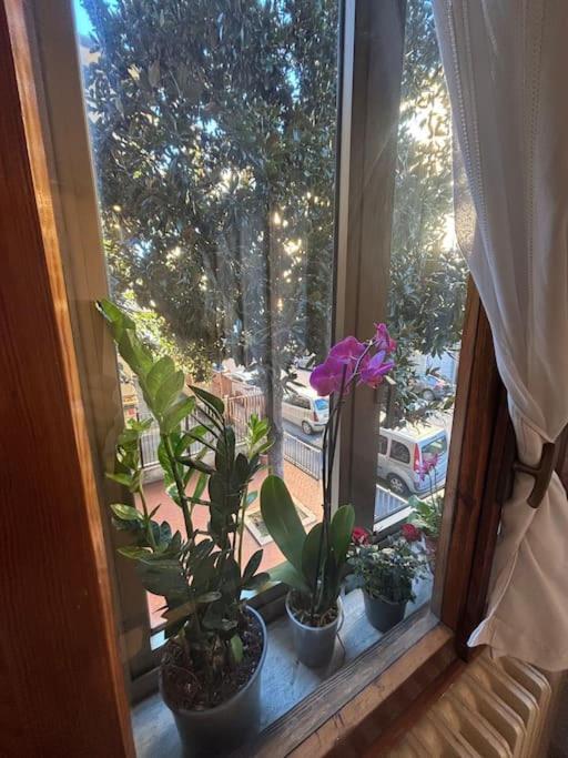 Show Me 2 Bedroom Duomo & Airport Tram Apartment Florence