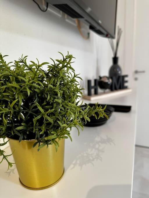 Apartment Nencionihouse- Modern Comfort Close To Center Florence