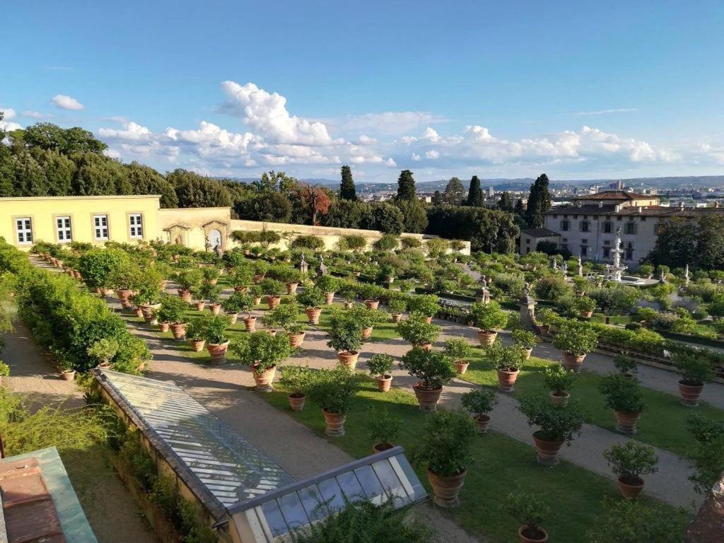 Apartment, Garden And Parking Appartement *