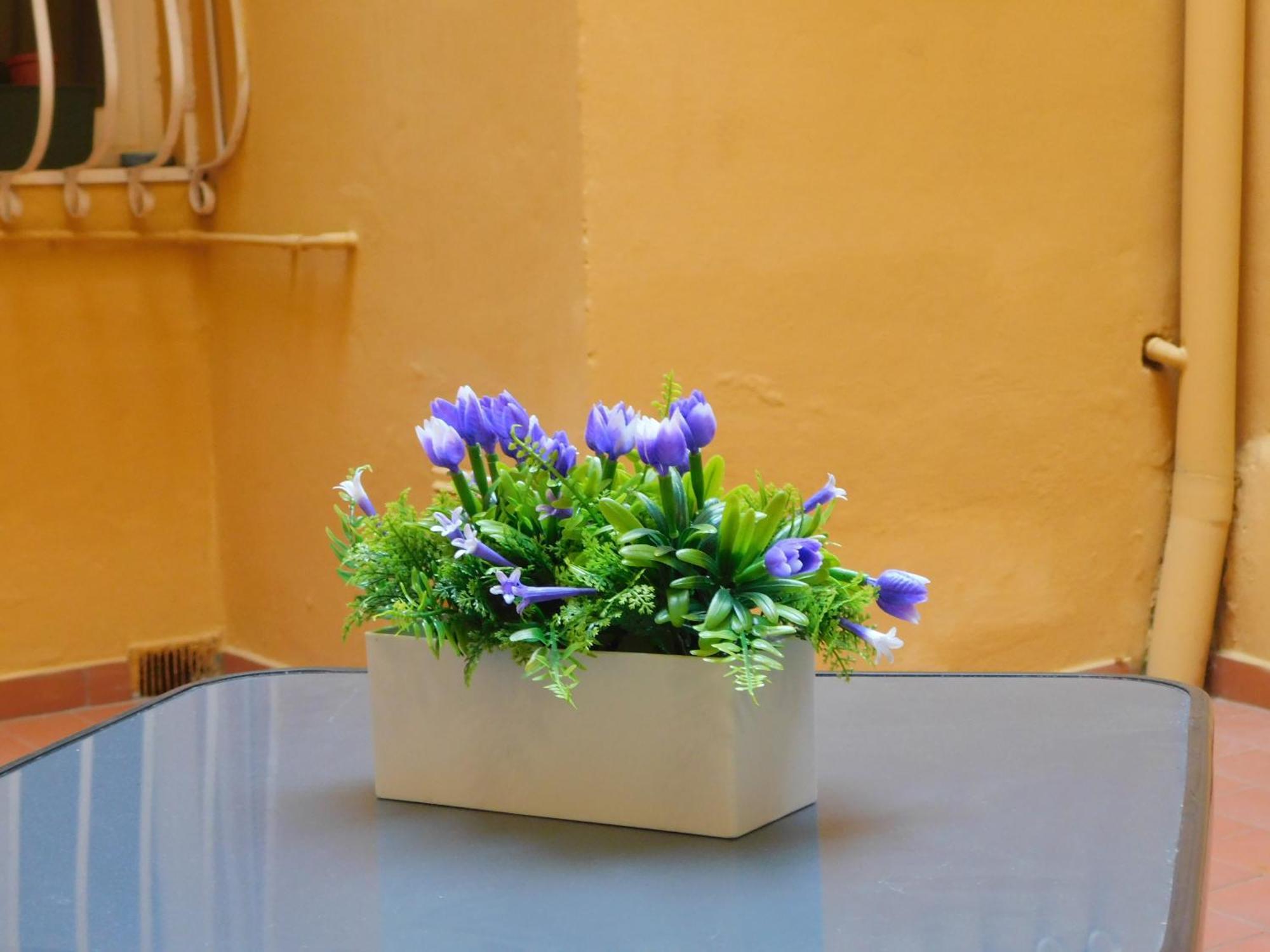 Apartment La Casa Fiorentina