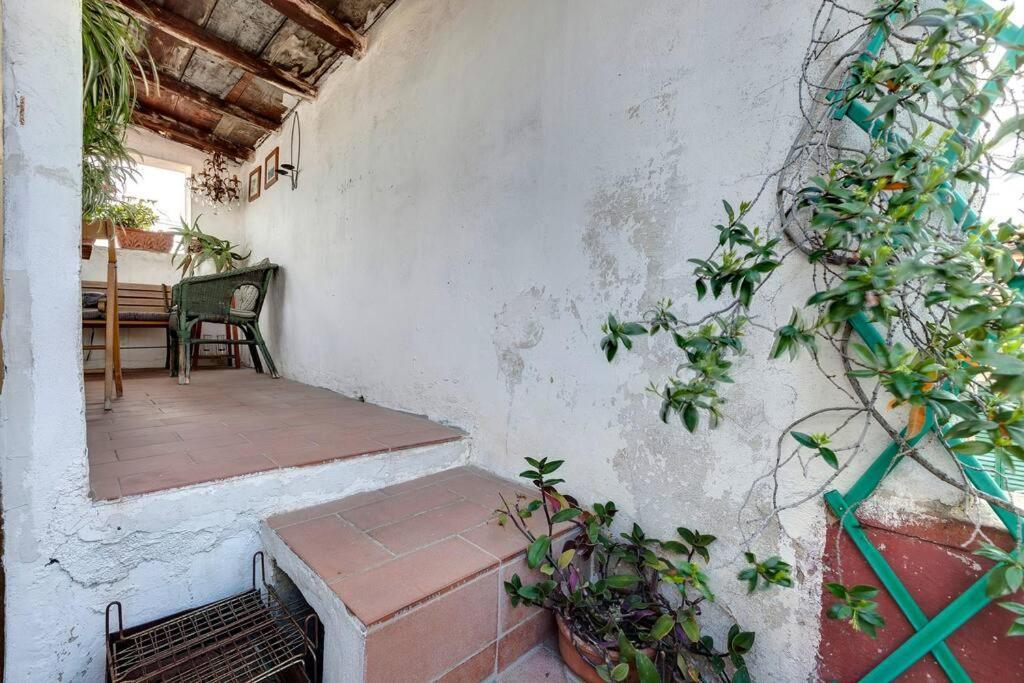 Apartment Pepi With Terrace