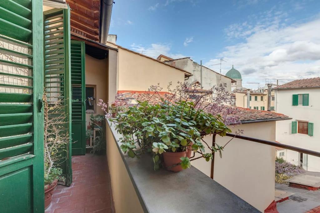 Pepi With Terrace Apartment