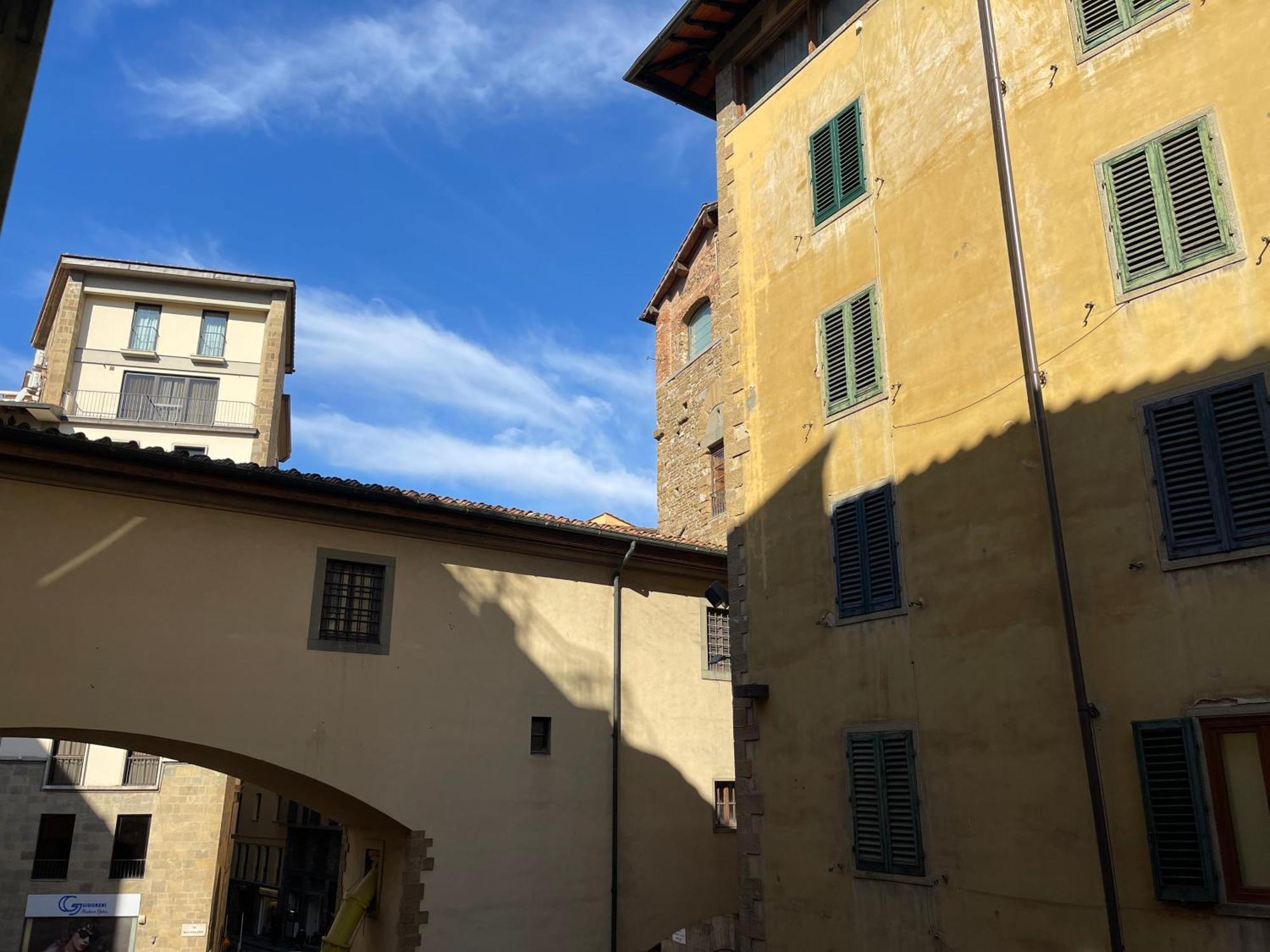 Bardi-pitti Apartment Florence