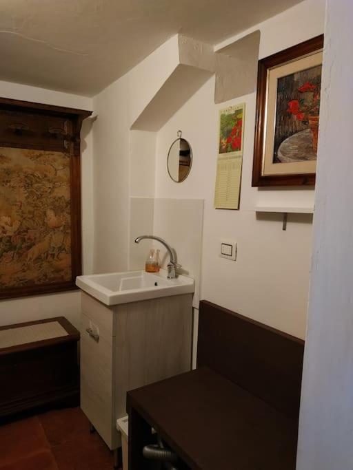 - Anthurium Apartment Florence
