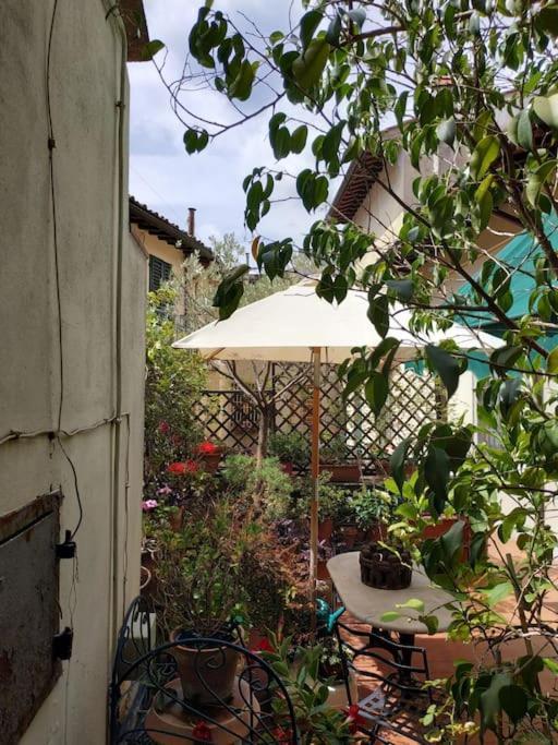 Apartment - Anthurium Florence