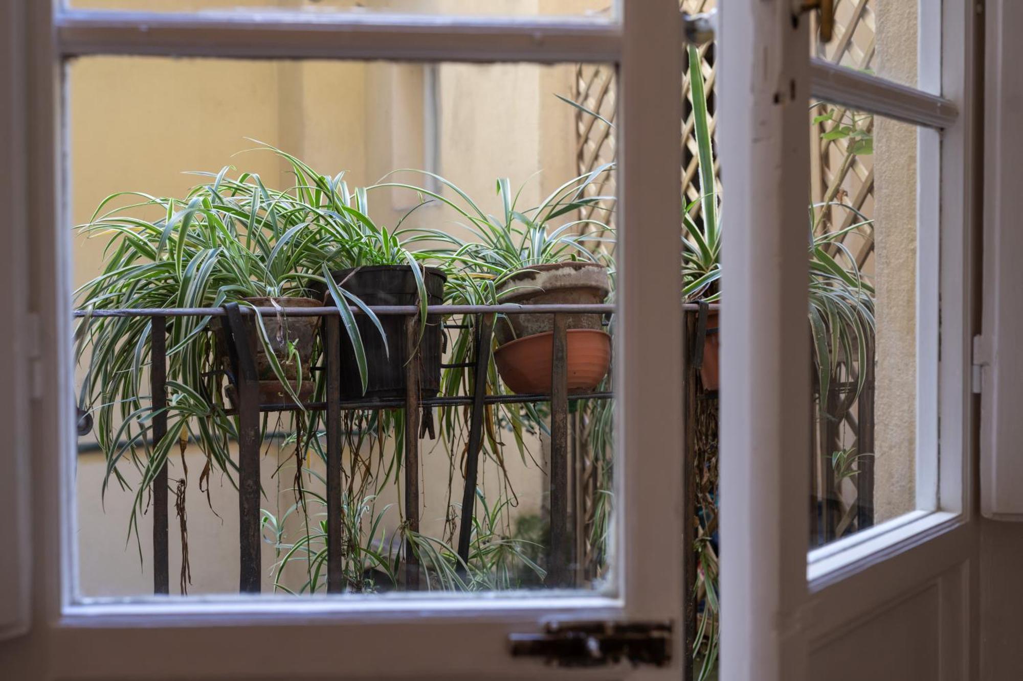 Sant'antonino Cozy Corner Appartement