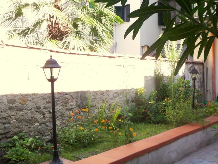 Charming Garden In Apartment