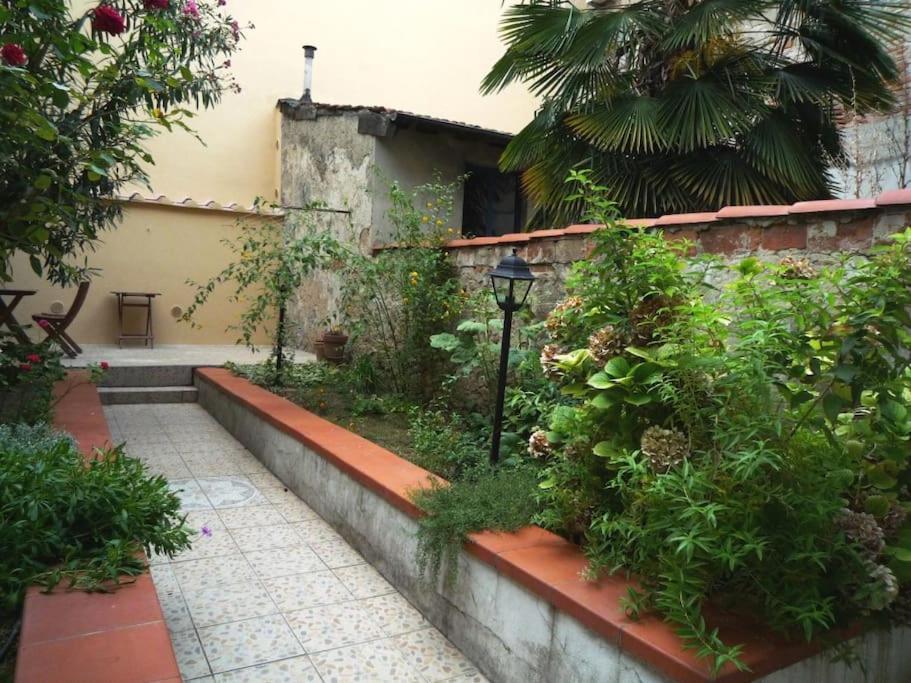 Charming Garden In * Florence