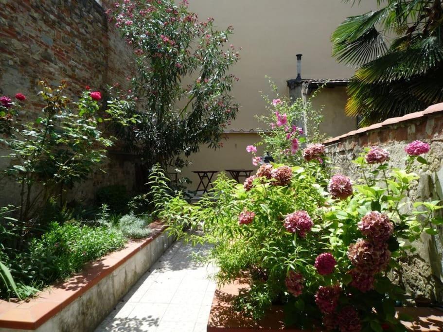 Apartment Charming Garden In Florence
