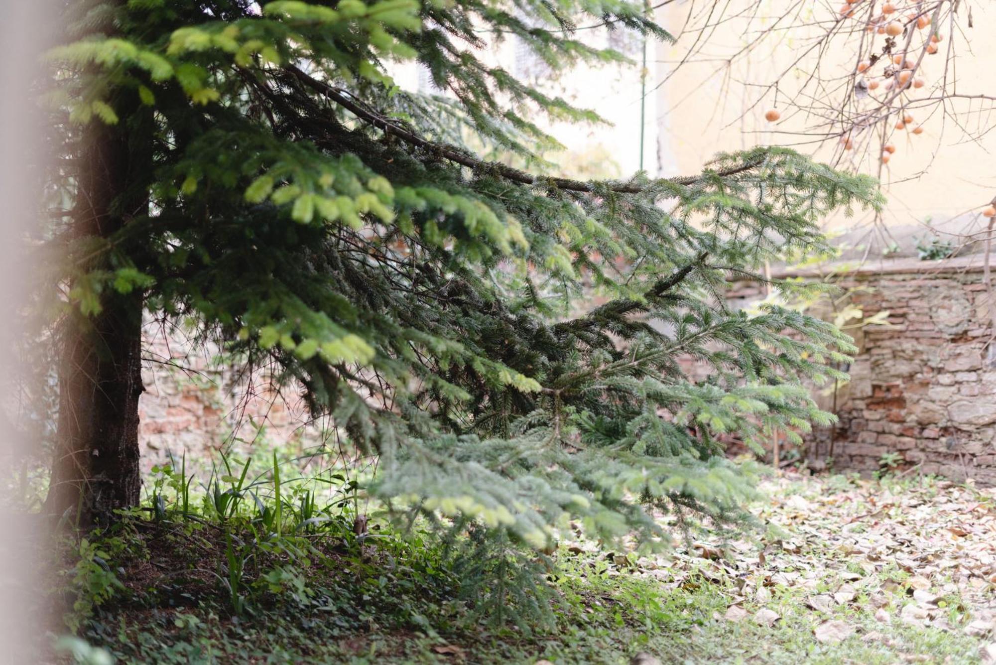 Apartment Charming In The Heart Of Santo Spirito