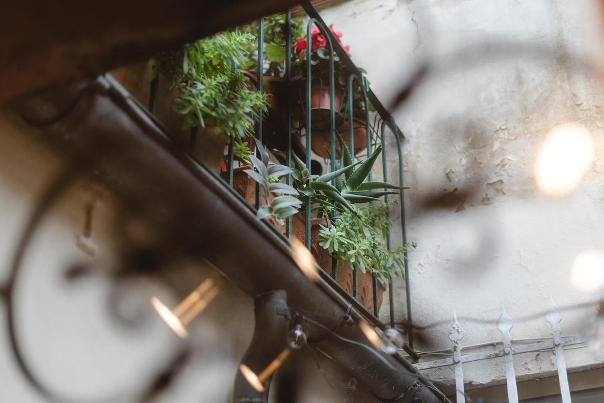 Charming In The Heart Of Santo Spirito Apartment Florence