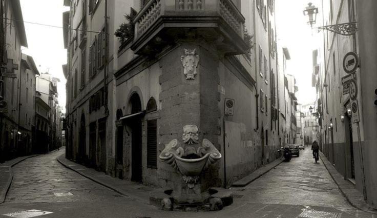 Sprone 13 * Florence