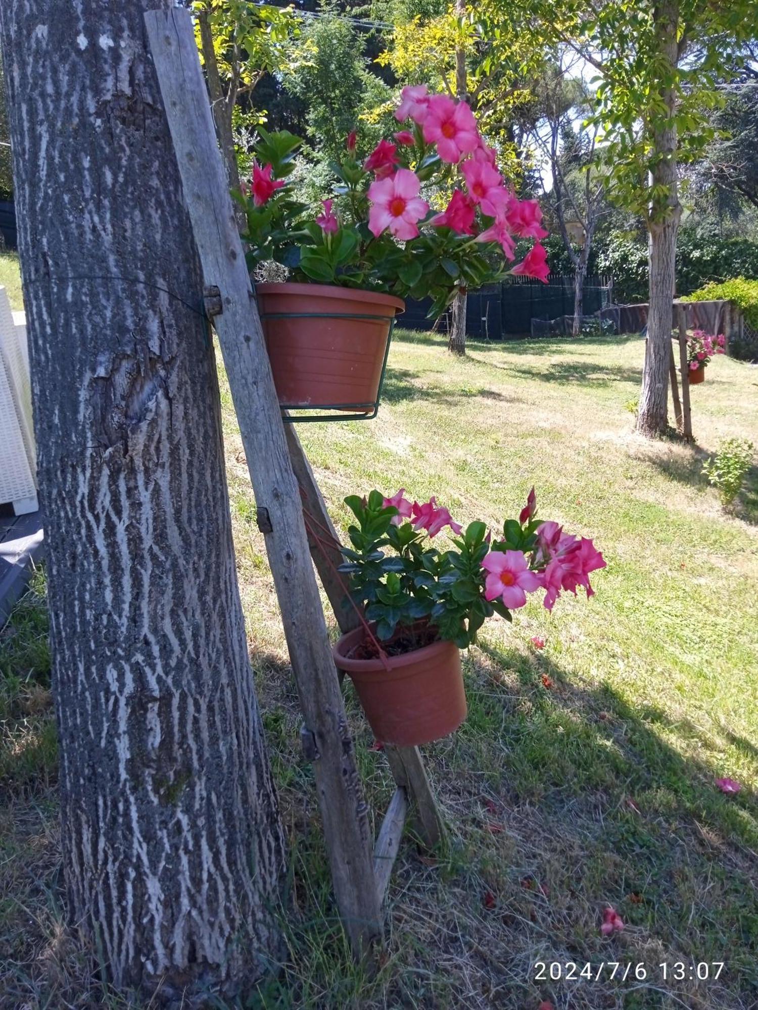 Holiday home Casa Chiantigiana 131b Florence