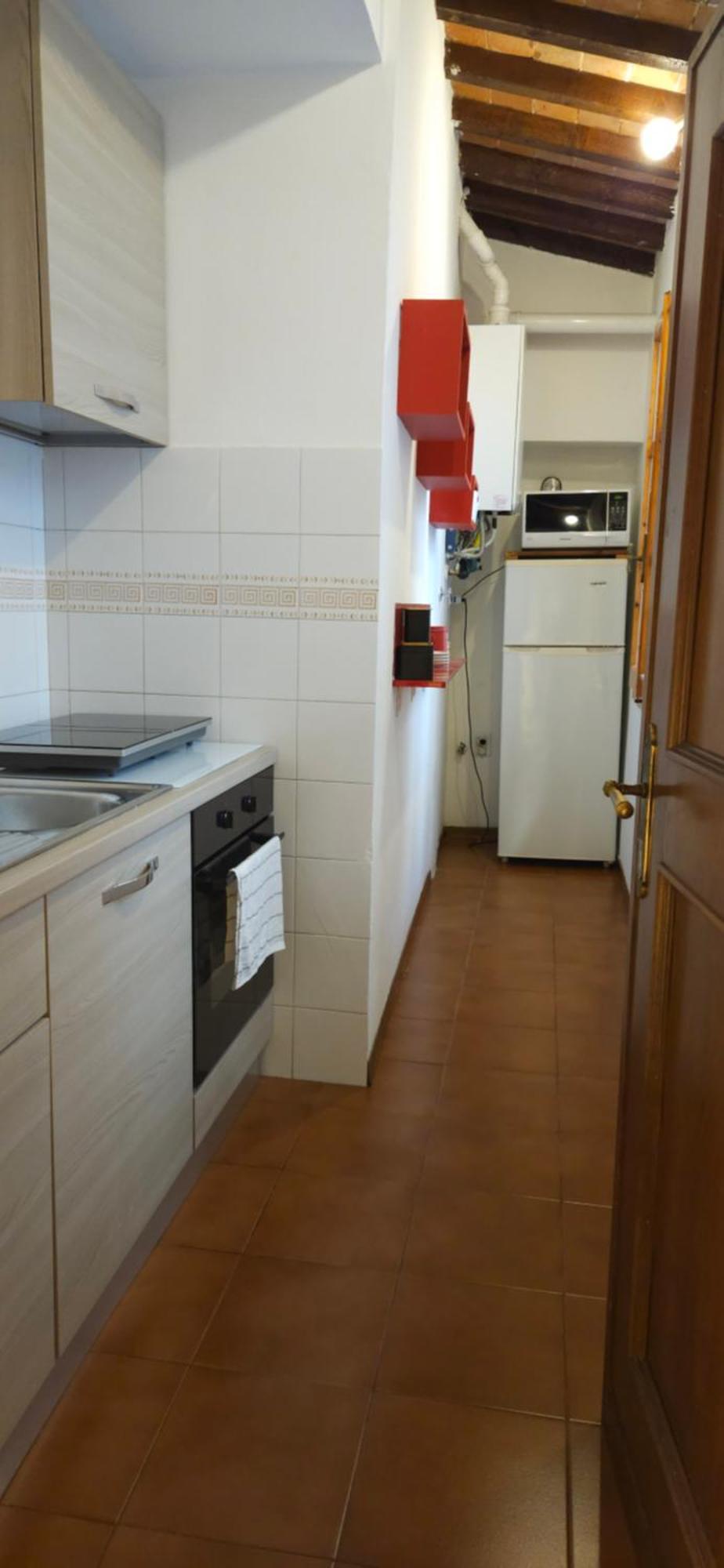 Apartment Il Loft Degli Albizi Florence