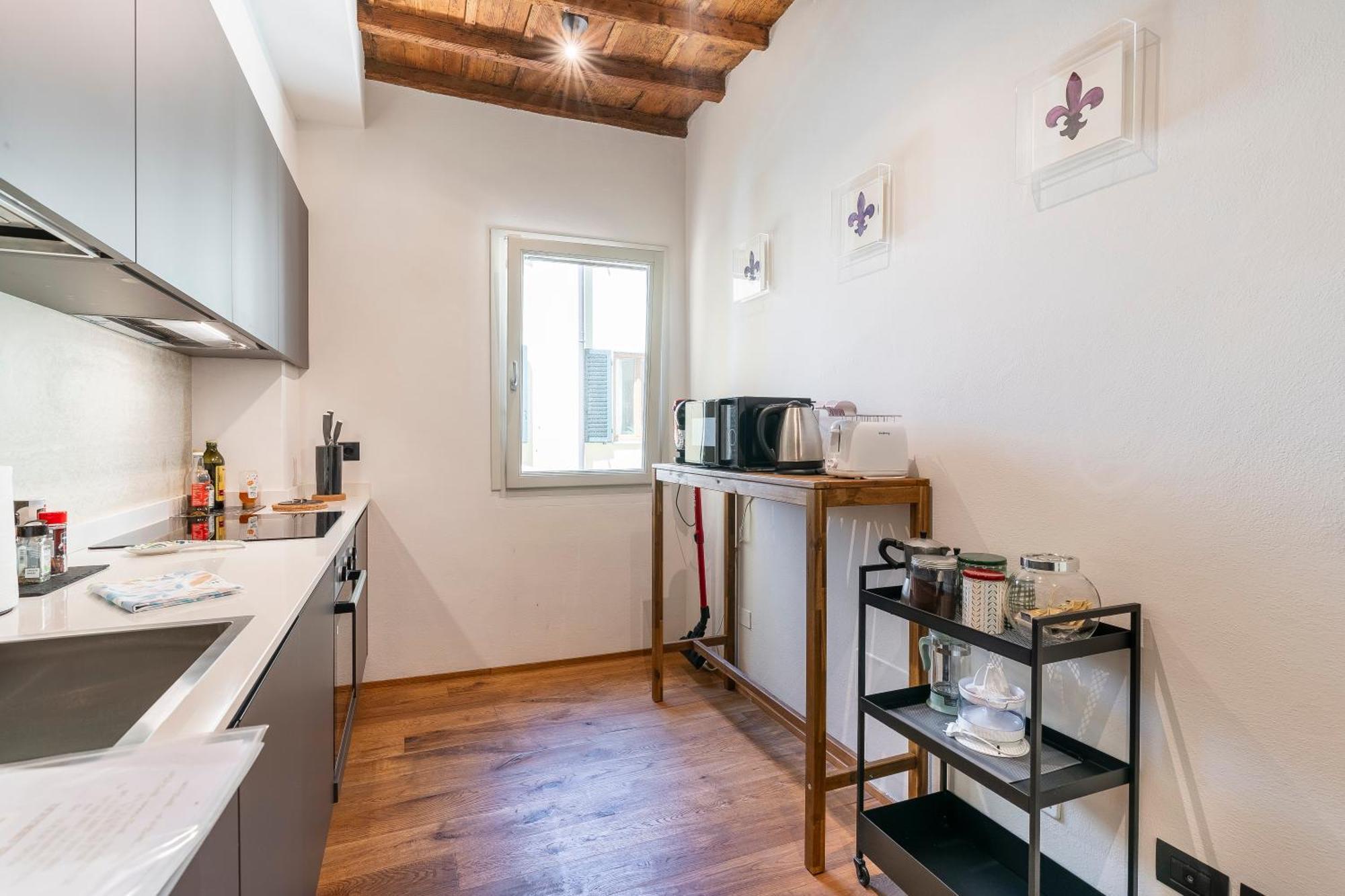 Apartment Oltrarno Deluxe, *
