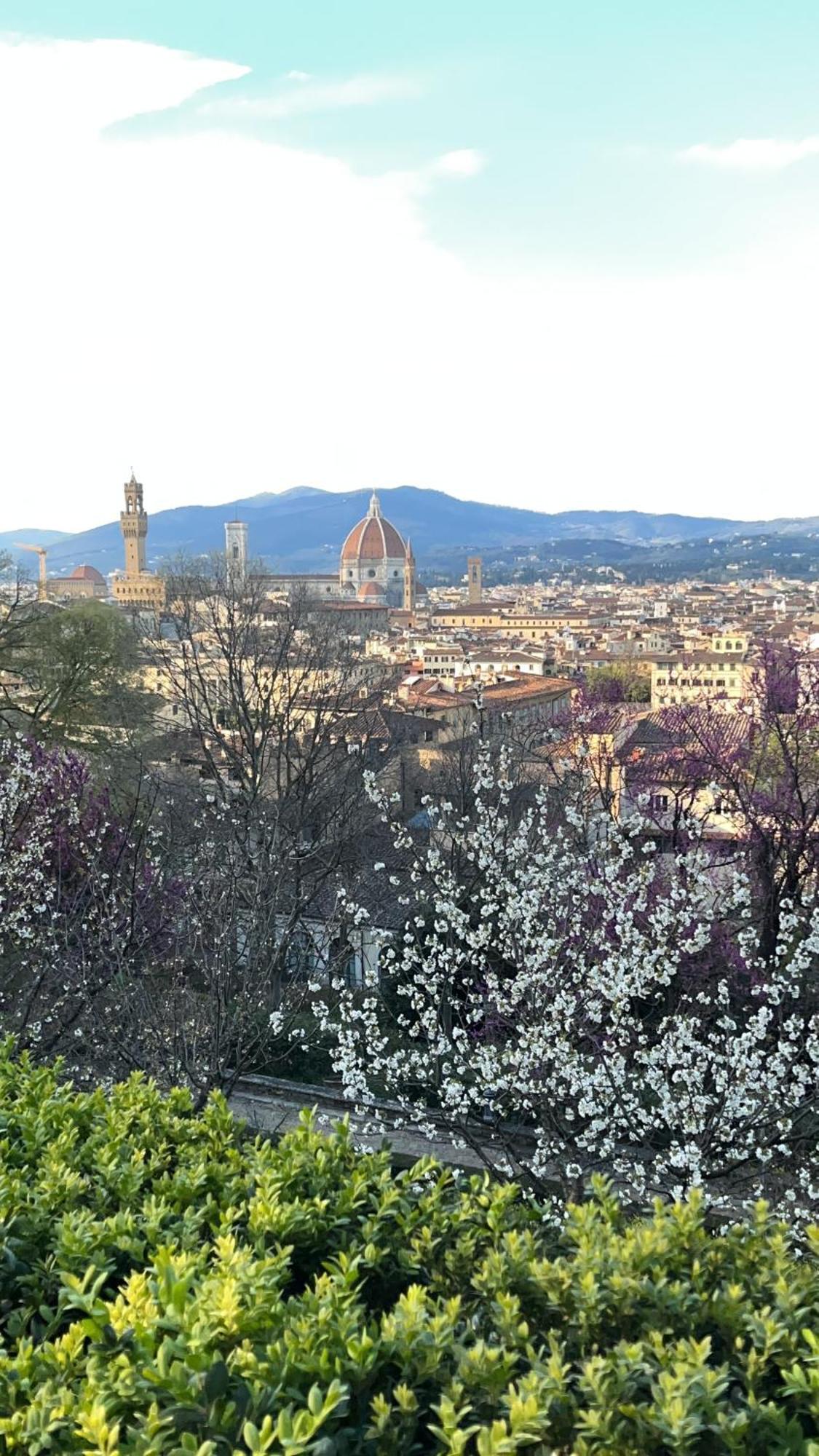 Cozy Near Piazzale Michelangelo *