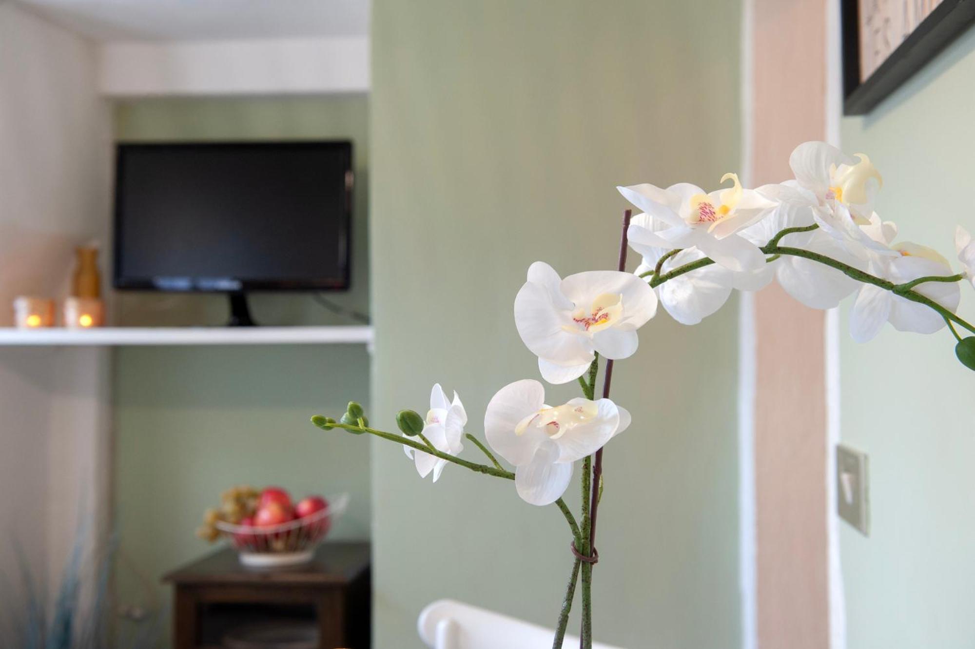 Sweet Pergola - Flo Appartement *