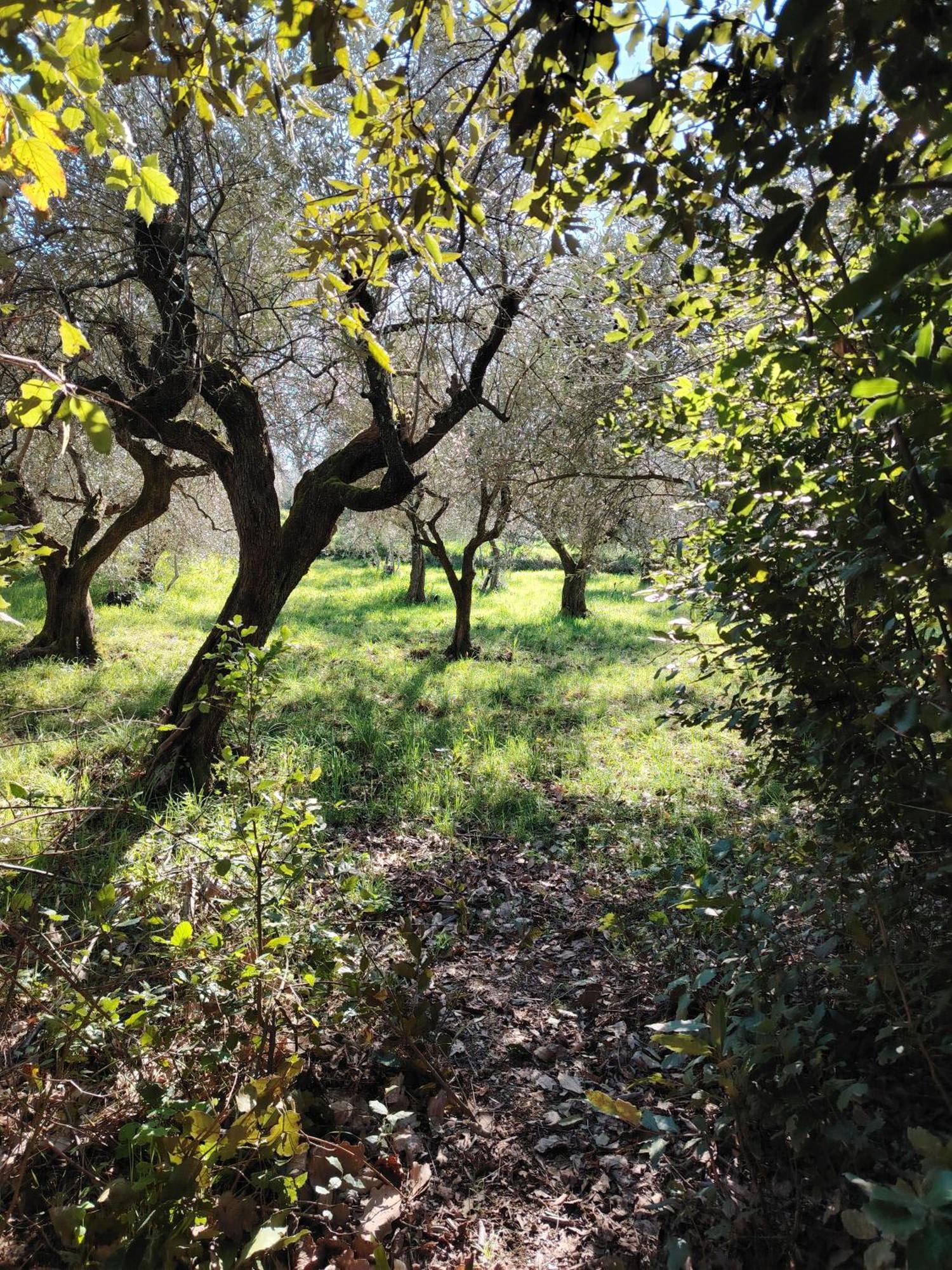 Giardinoterapeuticoinvilla Séjour à la ferme *