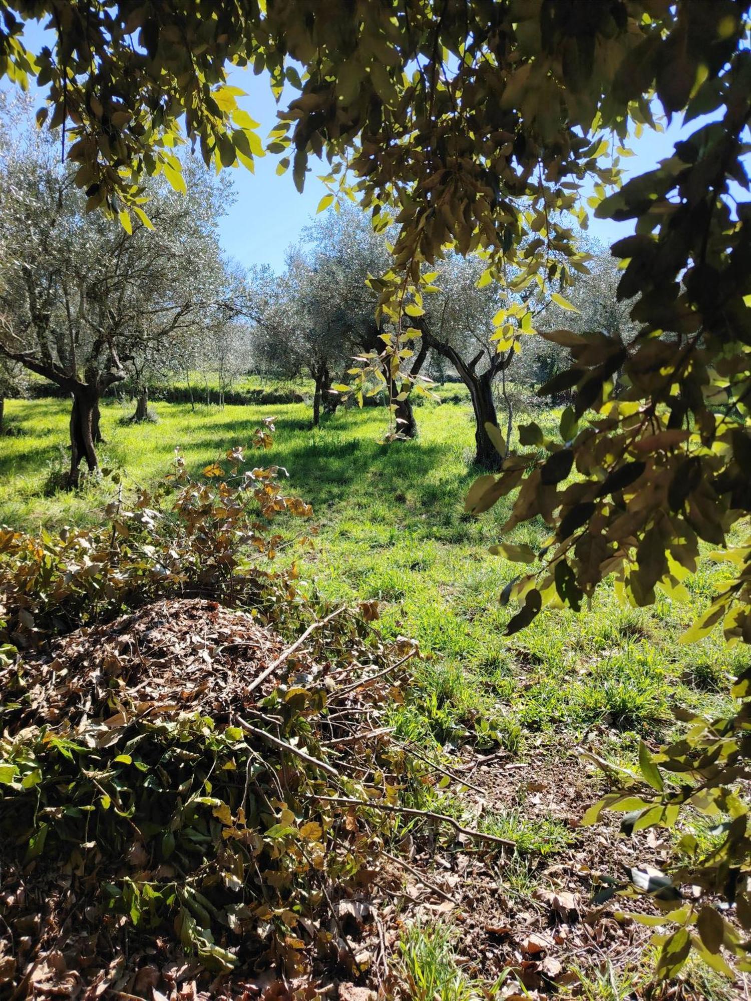 Séjour à la ferme Giardinoterapeuticoinvilla