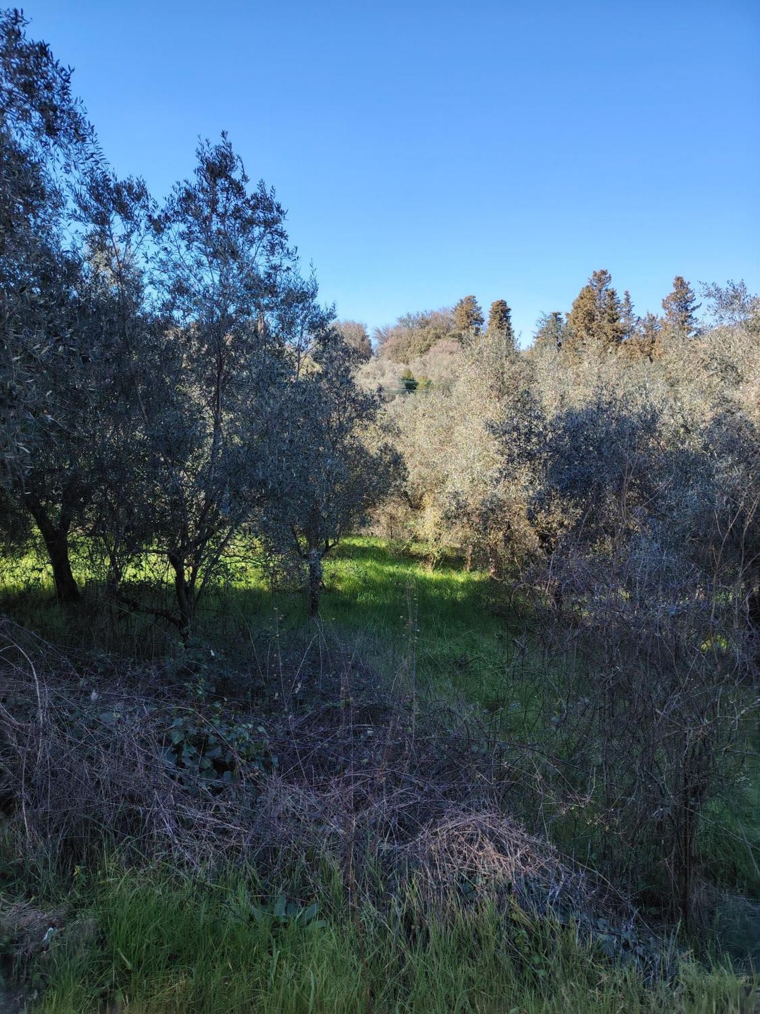 Giardinoterapeuticoinvilla Séjour à la ferme *