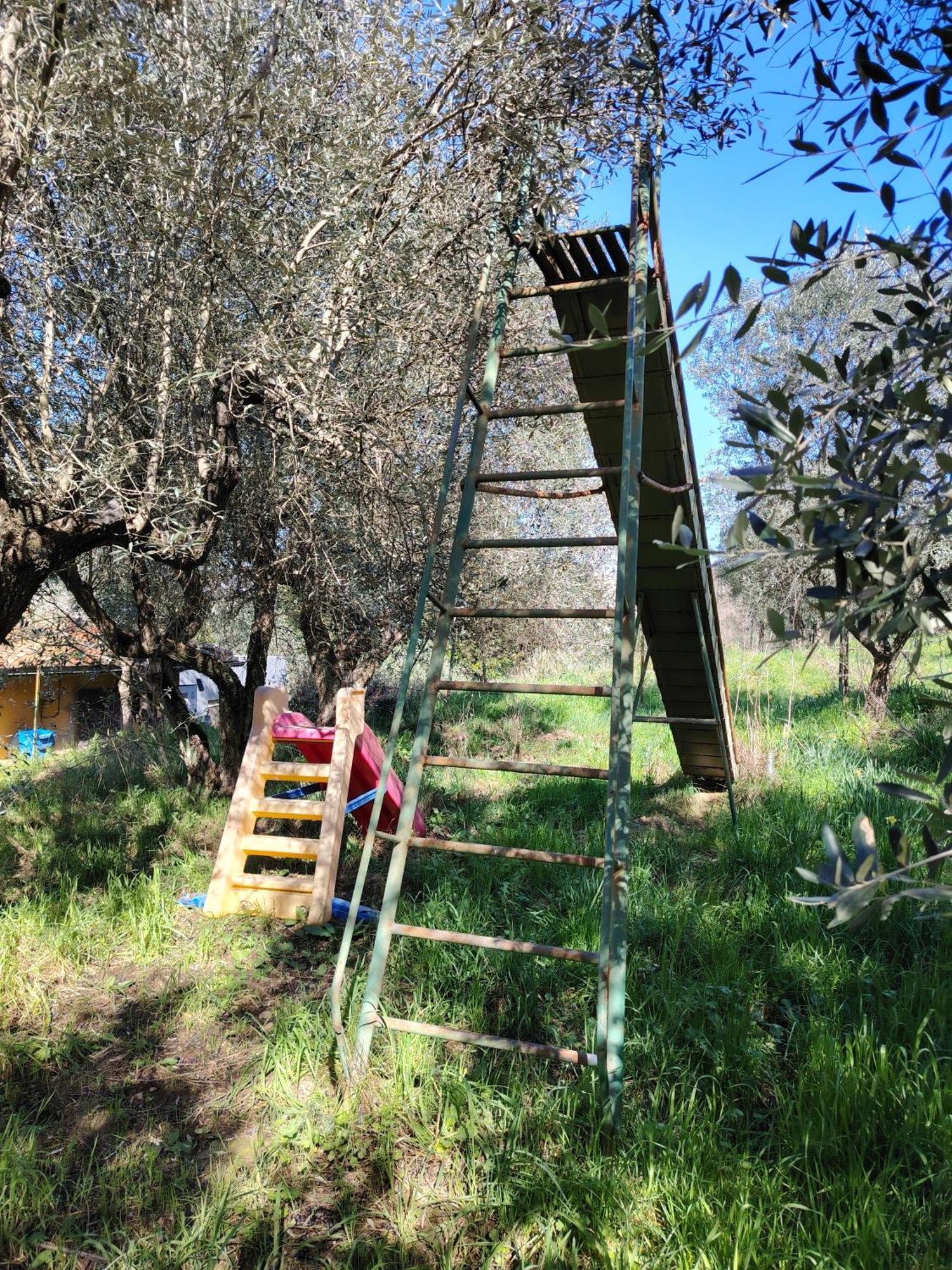 Séjour à la ferme Giardinoterapeuticoinvilla Florence