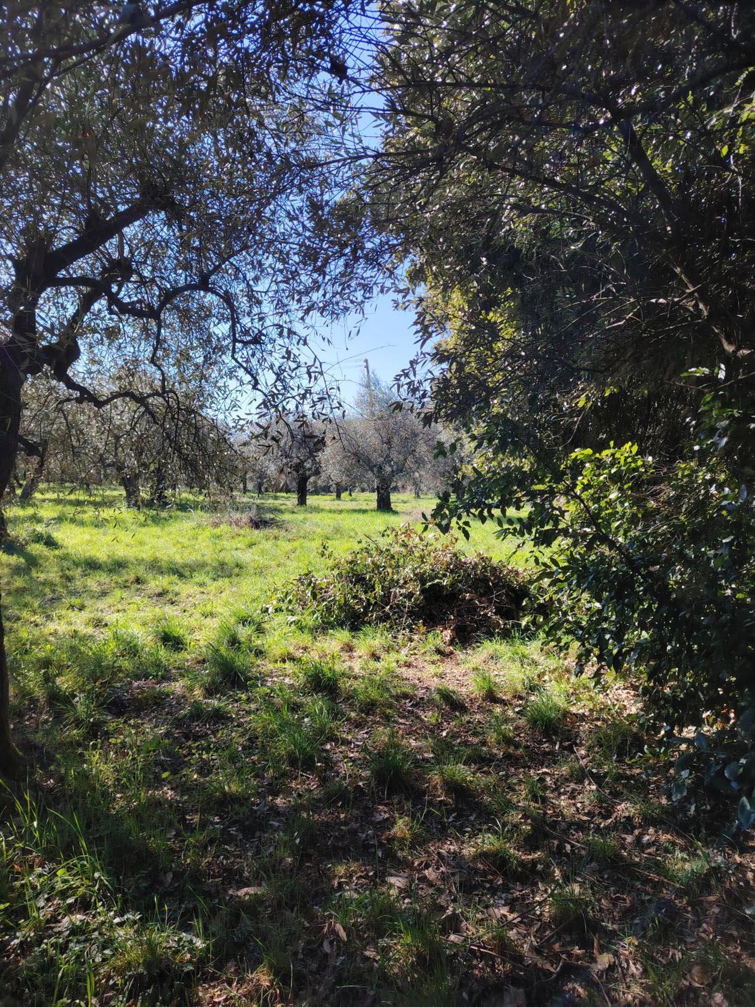 Séjour à la ferme Giardinoterapeuticoinvilla