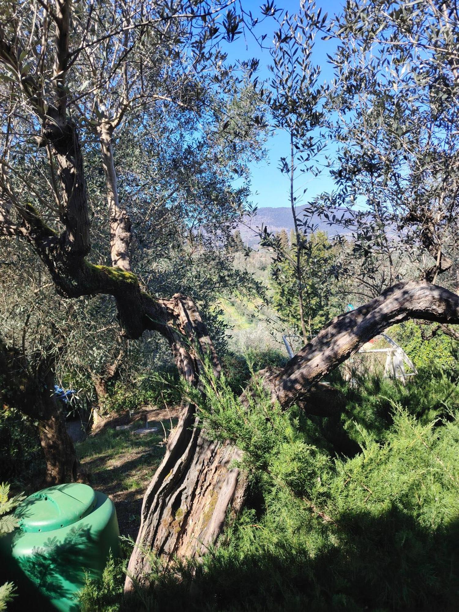 Turisti Nella Natura In Citta D'arte