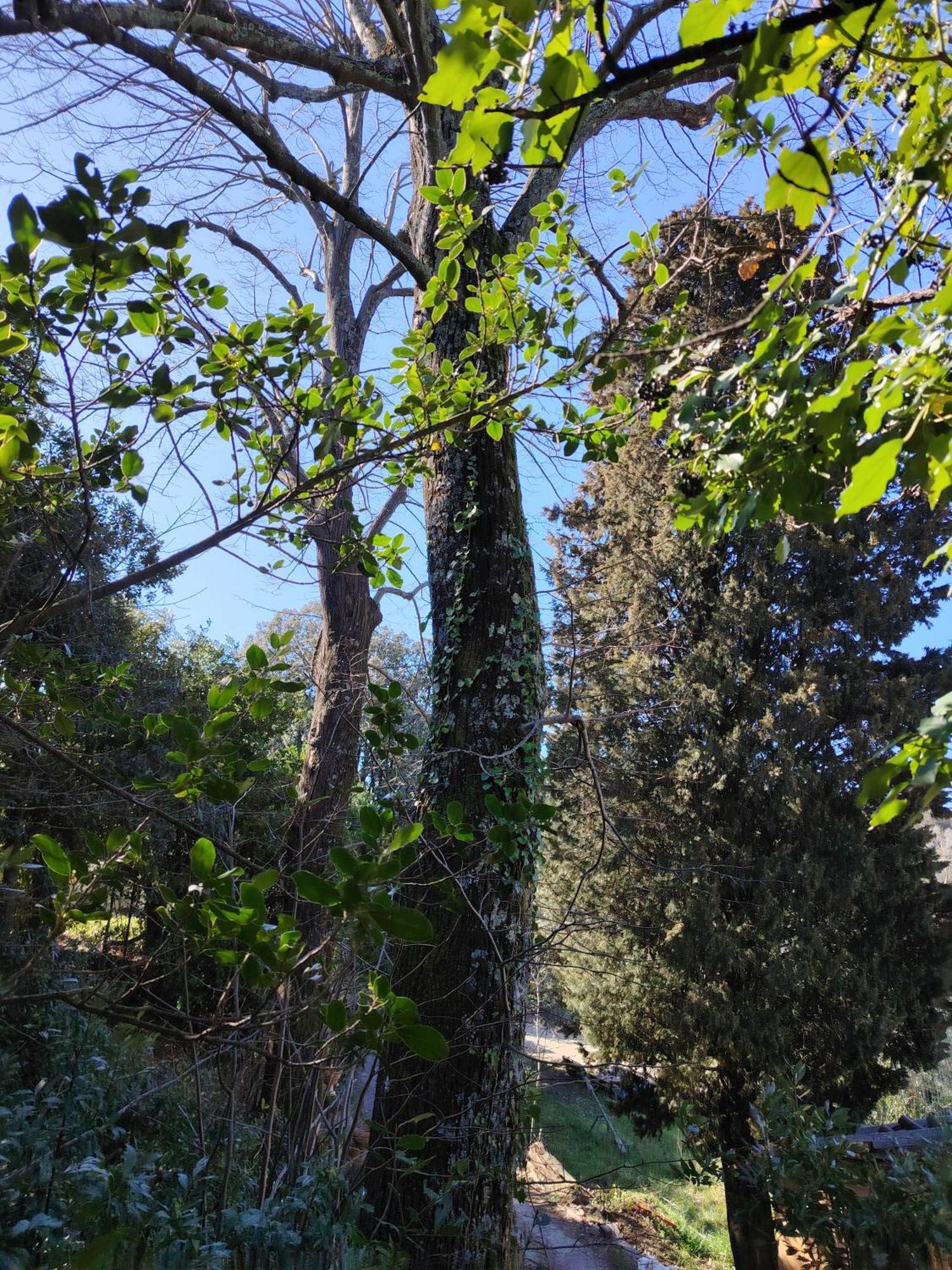 Turisti Nella Natura In Citta D'arte Campsite