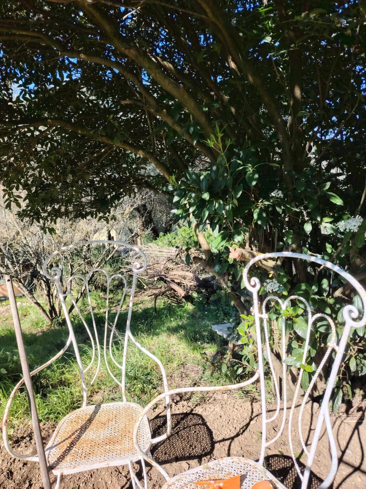 Campsite Turisti Nella Natura In Citta D'arte Florence