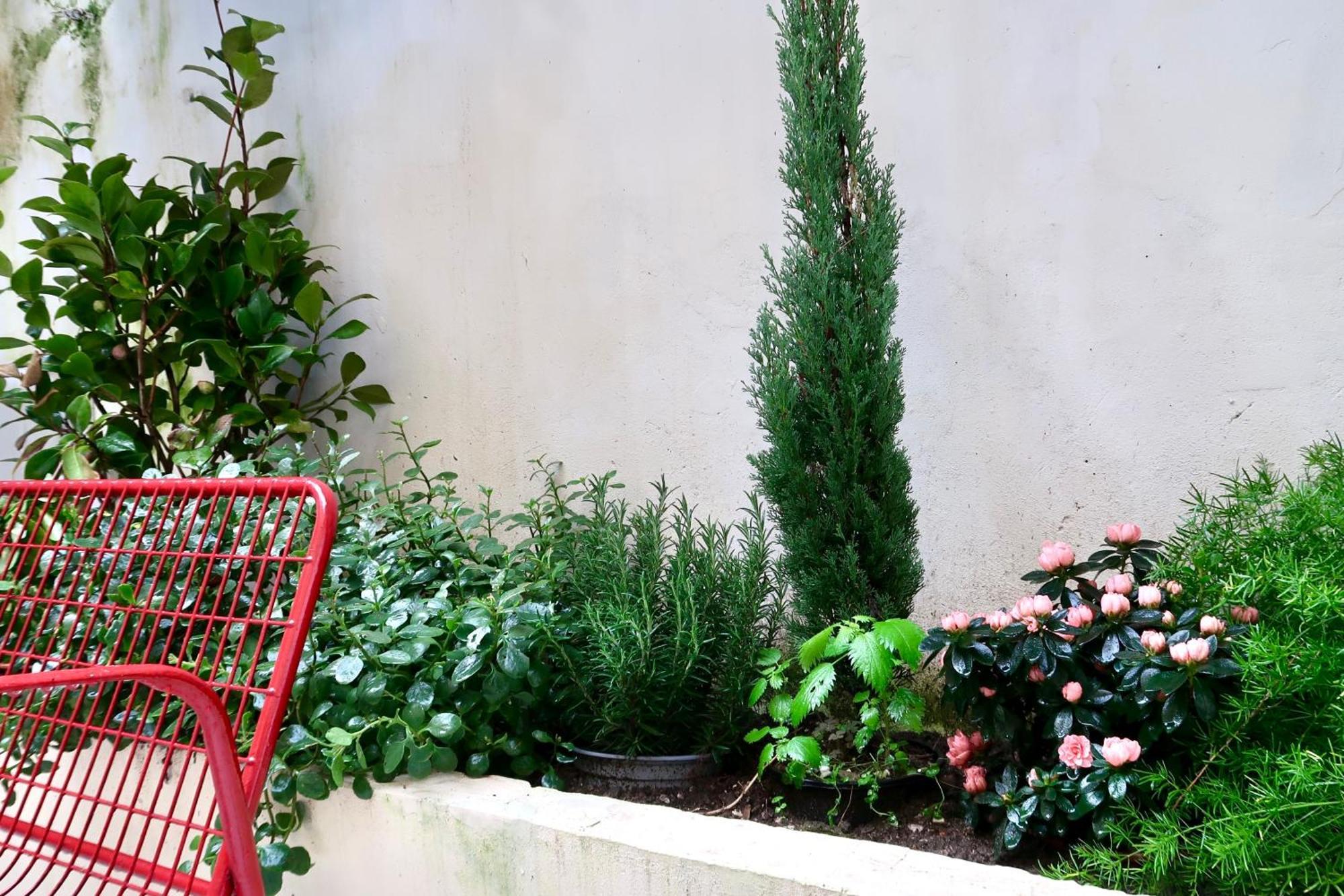 10-min Duomo Flat With Private Garden Apartment Florence