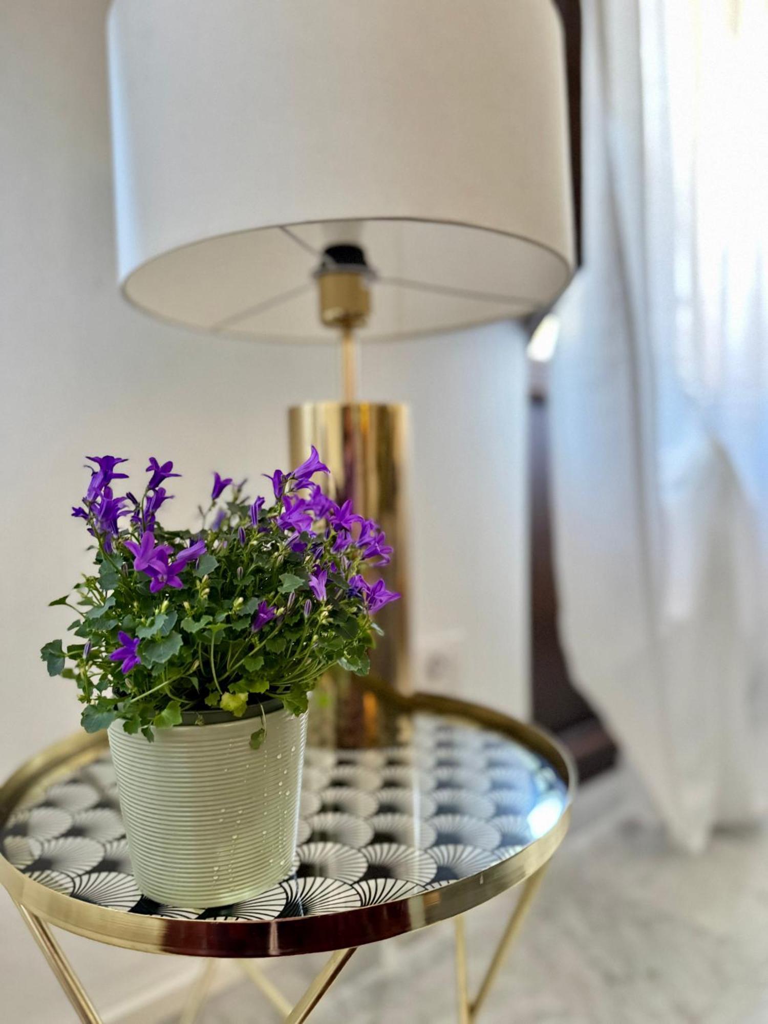 Apartment Platano By Monteverdi Florence